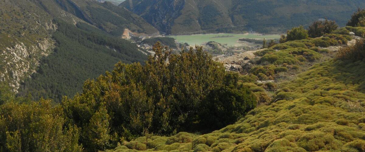 A mountainous landscape with a valley, dense forest, and a distant view of a lake.