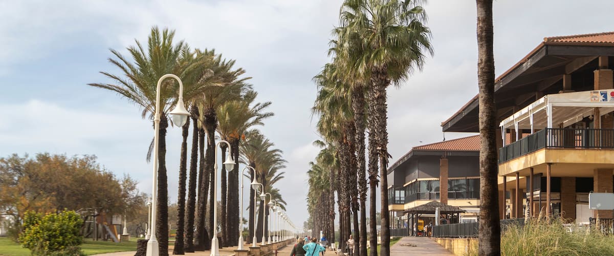 A paved walkway lined with palm trees and benches, leading to a building with a balcony.