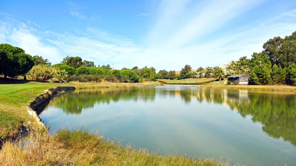 A calm lake surrounded by greenery and trees.