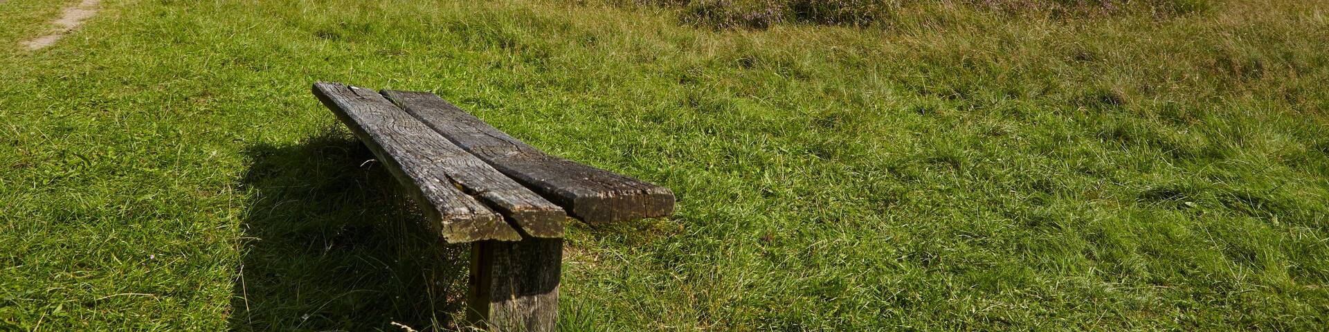 Lüneburger Heide - Heidelandschaft in der Nähe von Egestorf