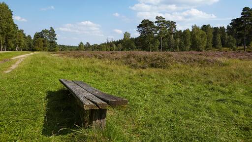 Lüneburger Heide - Heidelandschaft in der Nähe von Egestorf