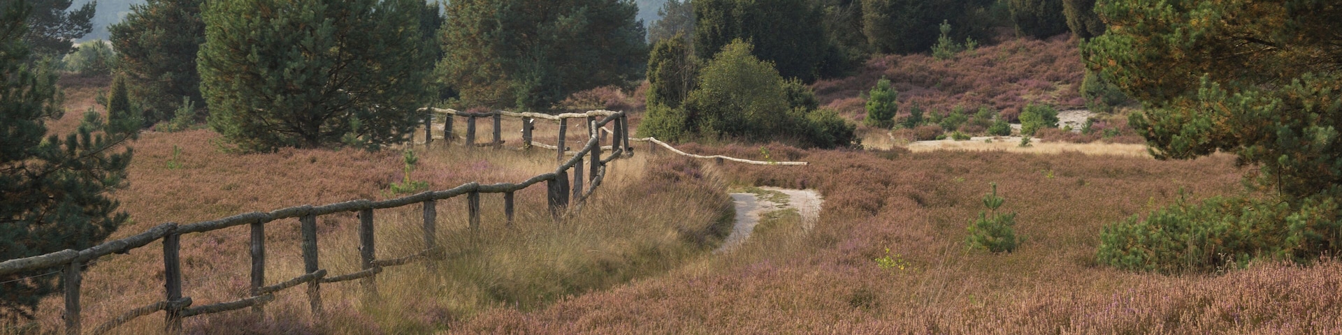 Lüneburger Heide, Undeloh, Naturschutzgebiet, FFH-Gebiet Lüneburger Heide, Vogelschutzgebiet Lüneburger Heide, Naturpark
