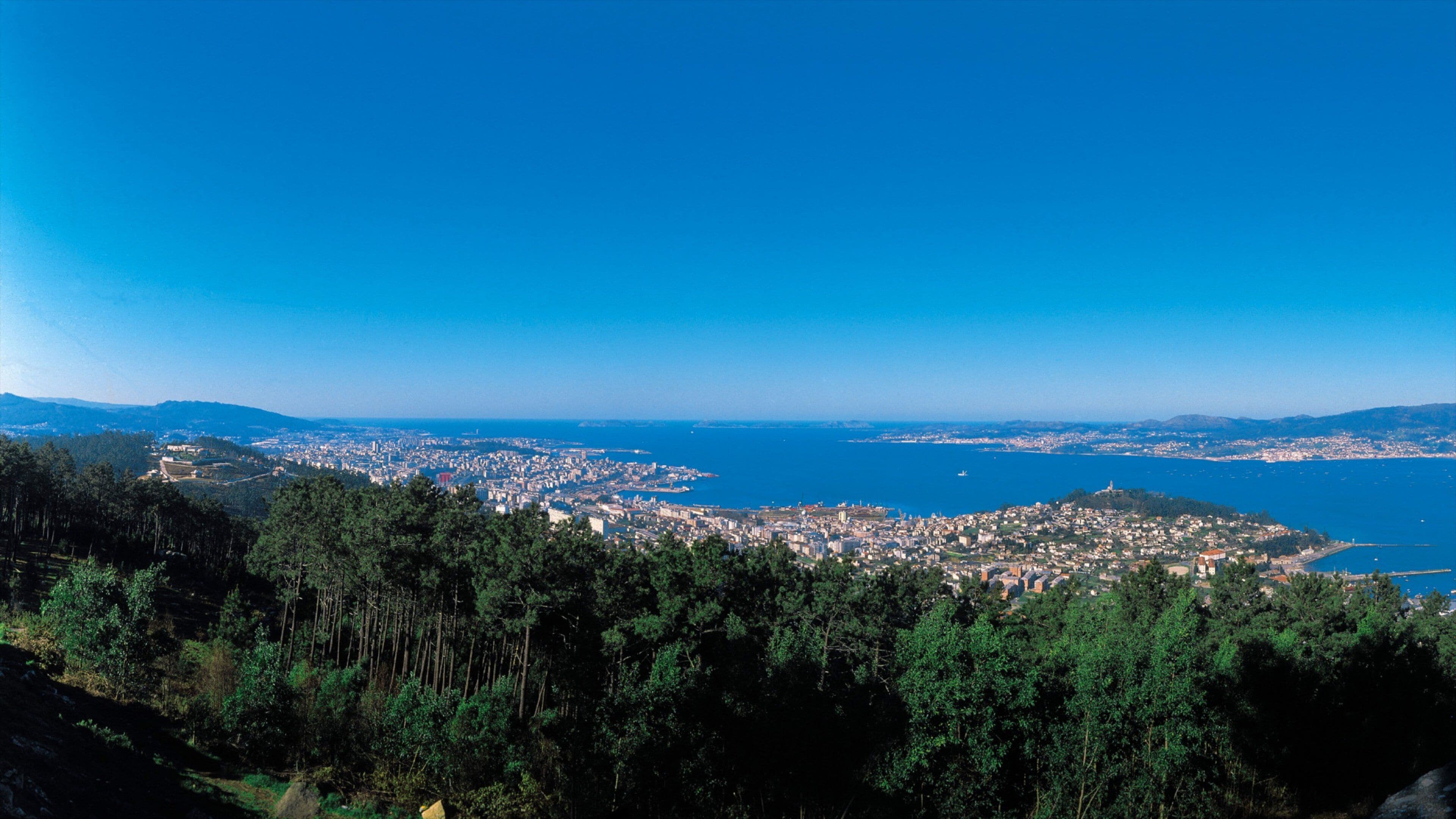 Pontevedra Province featuring general coastal views and forest scenes