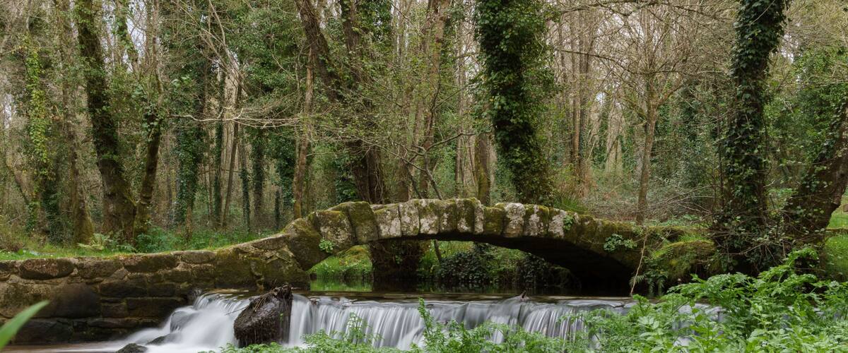 A stone bridge over a small waterfall in a forested area.