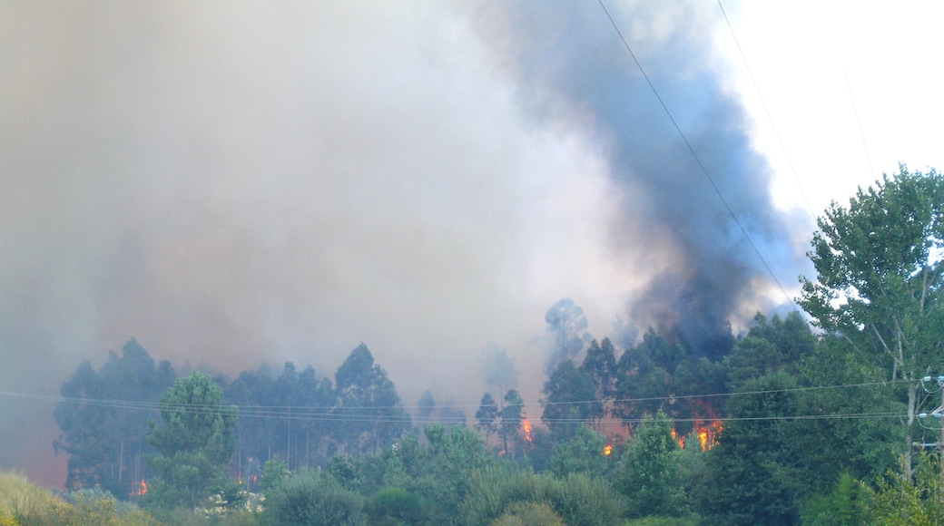 Wildfire near Guitiande, in Brión, Galicia, Spain.