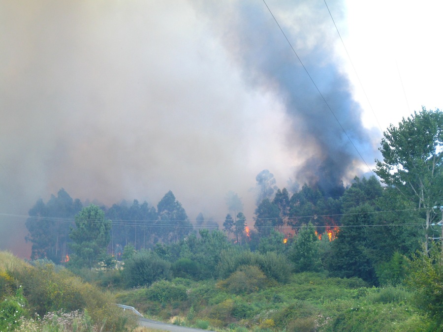 Wildfire near Guitiande, in Brión, Galicia, Spain.