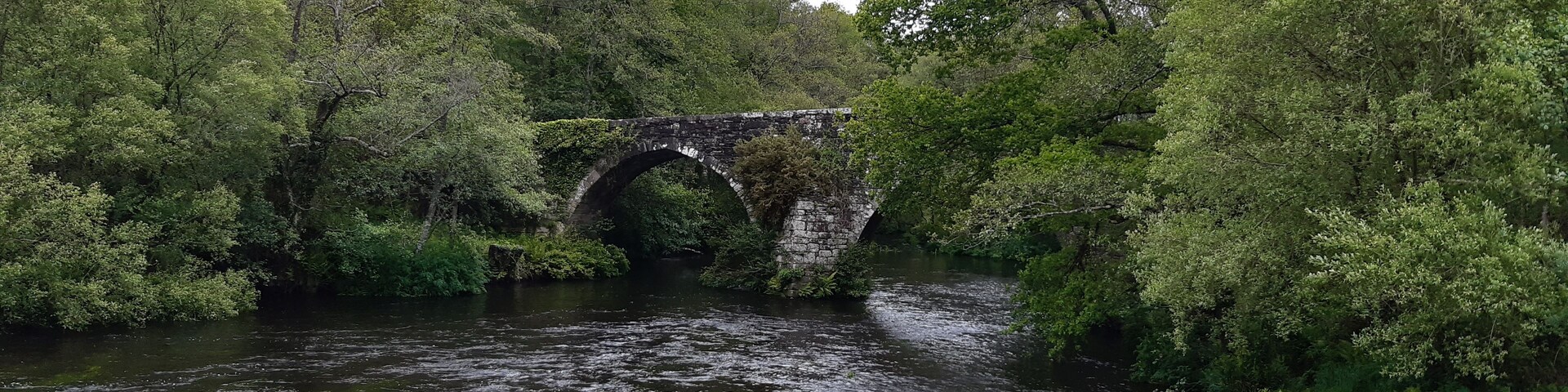 Un puente de piedra sobre un río, rodeado de abundante vegetación.