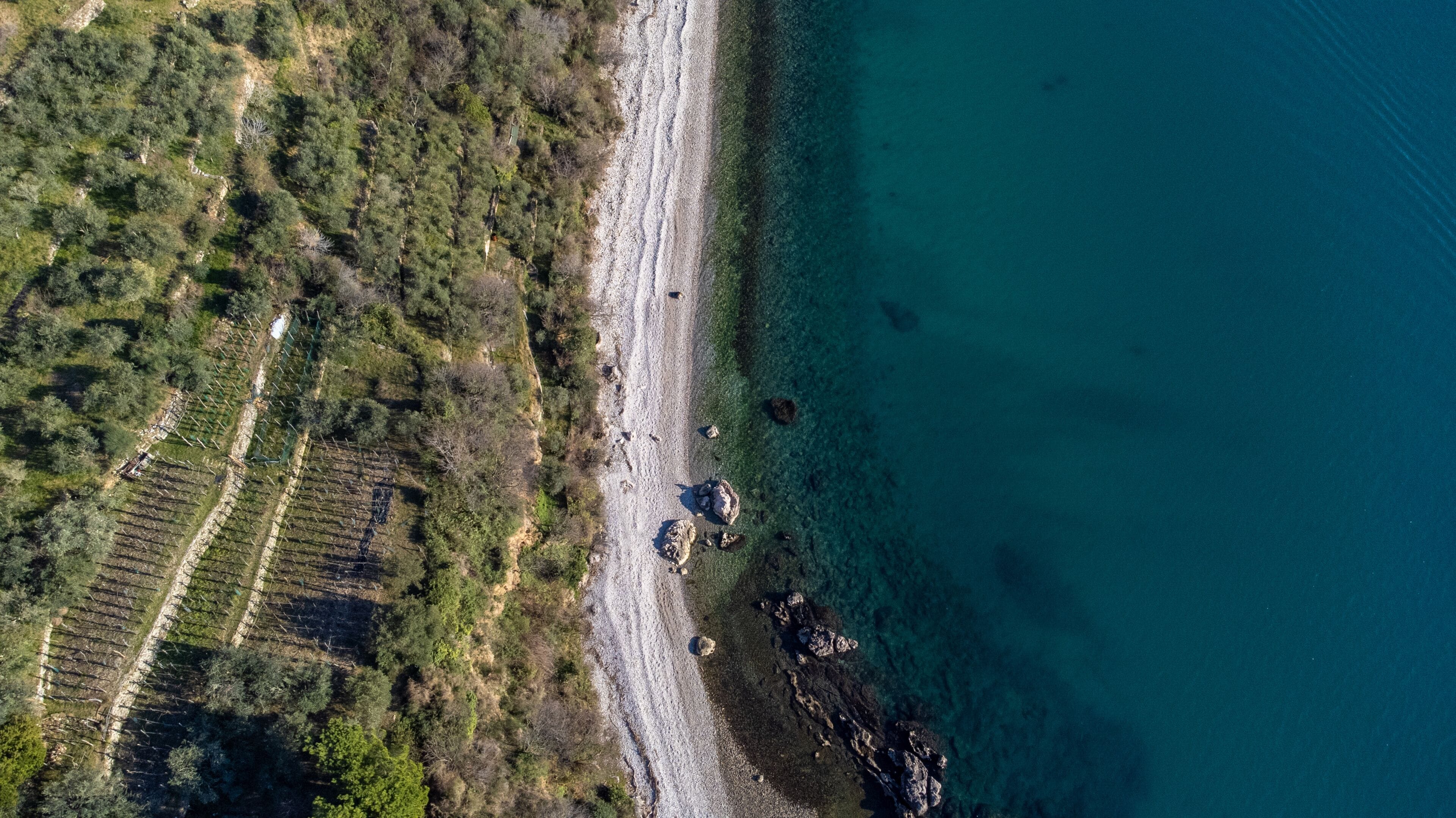 Vista aérea de uma área costeira com praia clara, litoral rochoso e campos agrícolas em terraços.