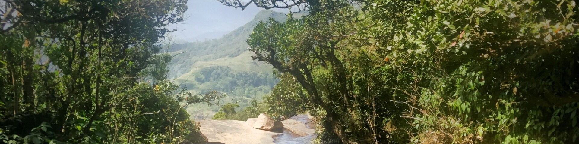 Ein Fluss fließt durch ein bewaldetes Tal mit felsigem Gelände und dichter Vegetation.
