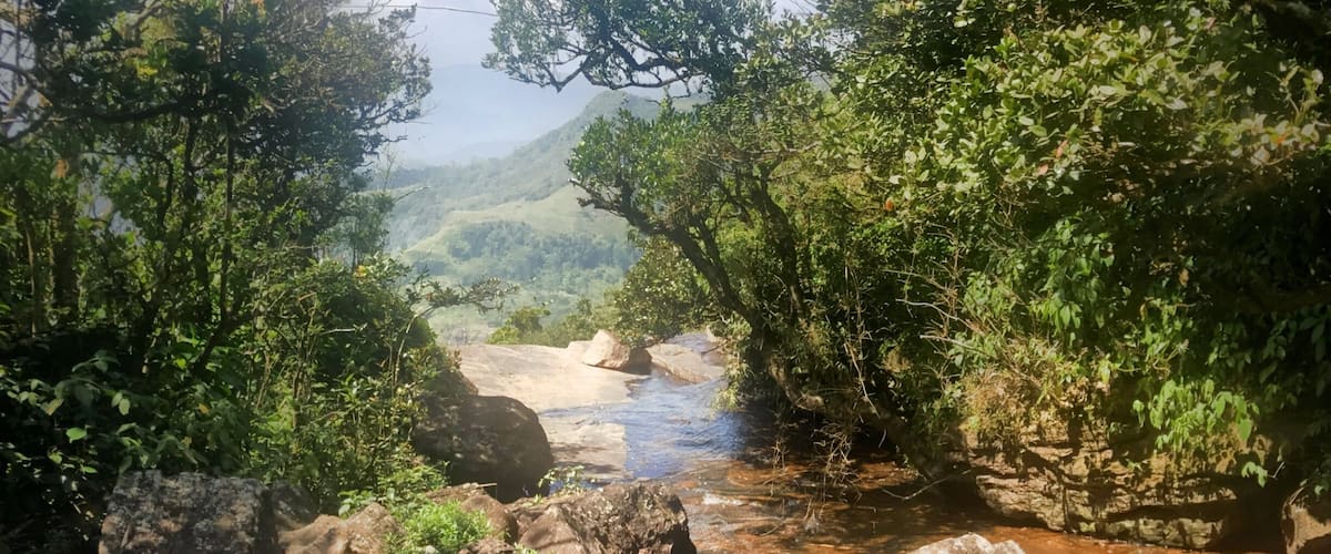 A river flowing through a forested valley with rocky terrain and dense vegetation.