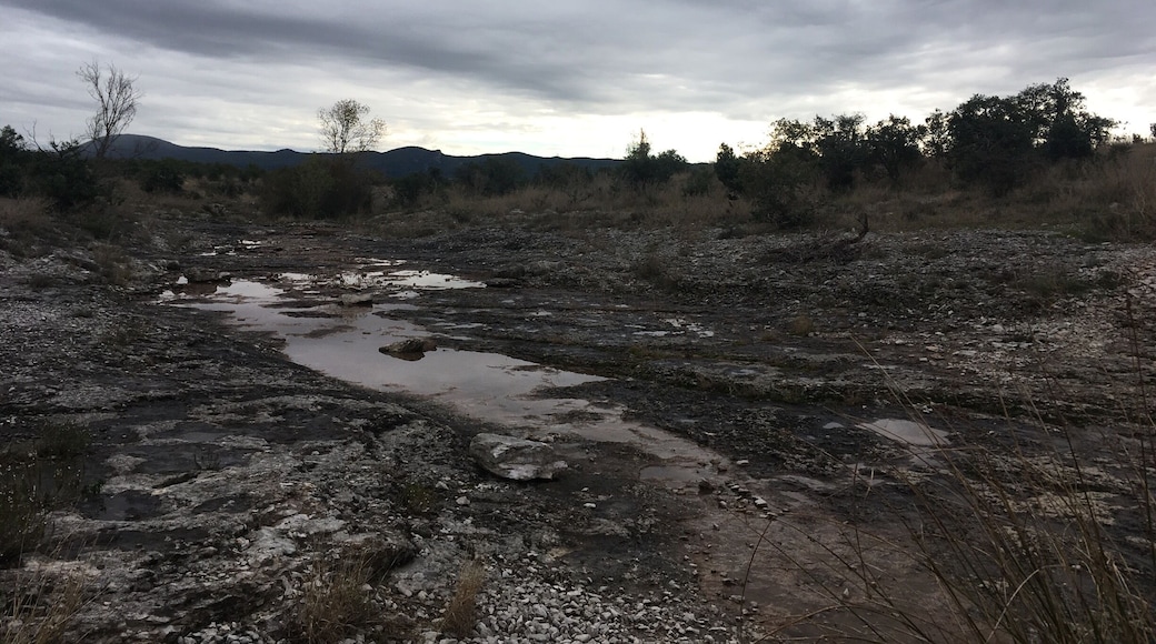 Seuls sur terre , des paysages à couper le souffle dans la plaine ardéchoise