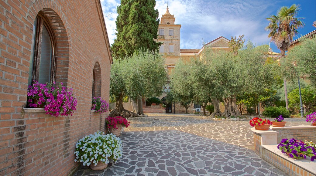 Dello Splendore Museum which includes flowers