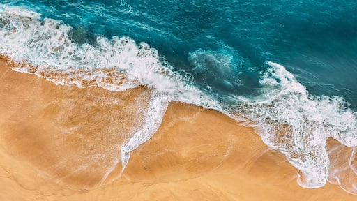Sandy beach, panorama. Panoramic view of the sandy beach. The sea wave rolls on the shore. Sea coast view from the air. Aerial photography of the sea wave. The ocean and beach. Copy space