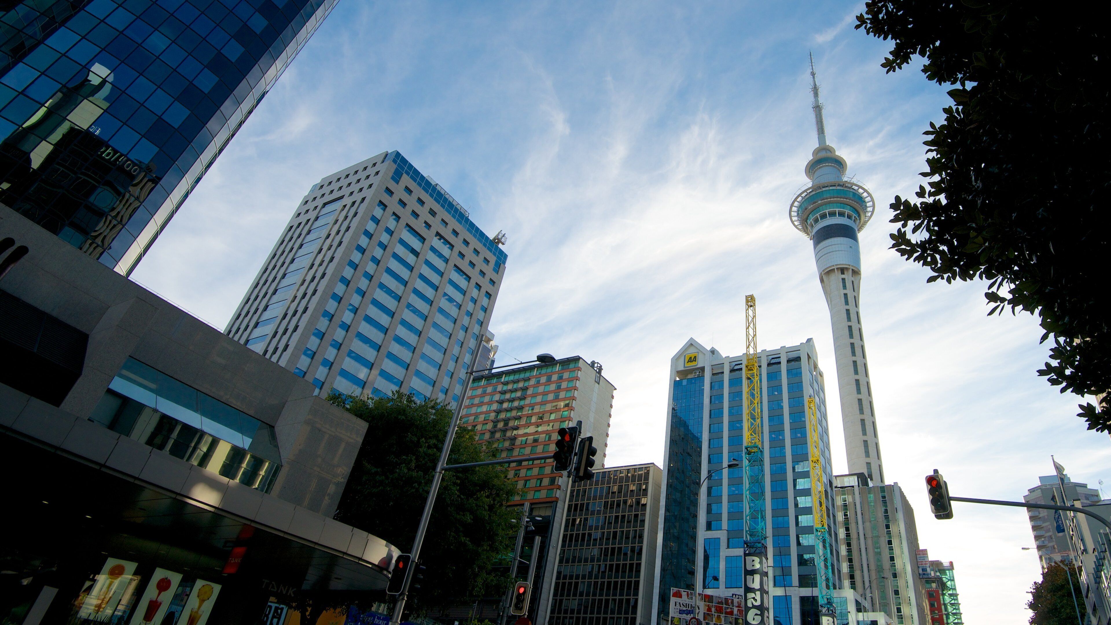 Sky Tower featuring a high-rise building, skyline and a city