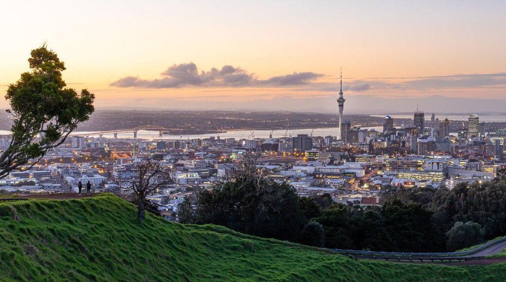 Auckland city skyline with Auckland Sky Tower from Mt. Eden at sunset New Zealand