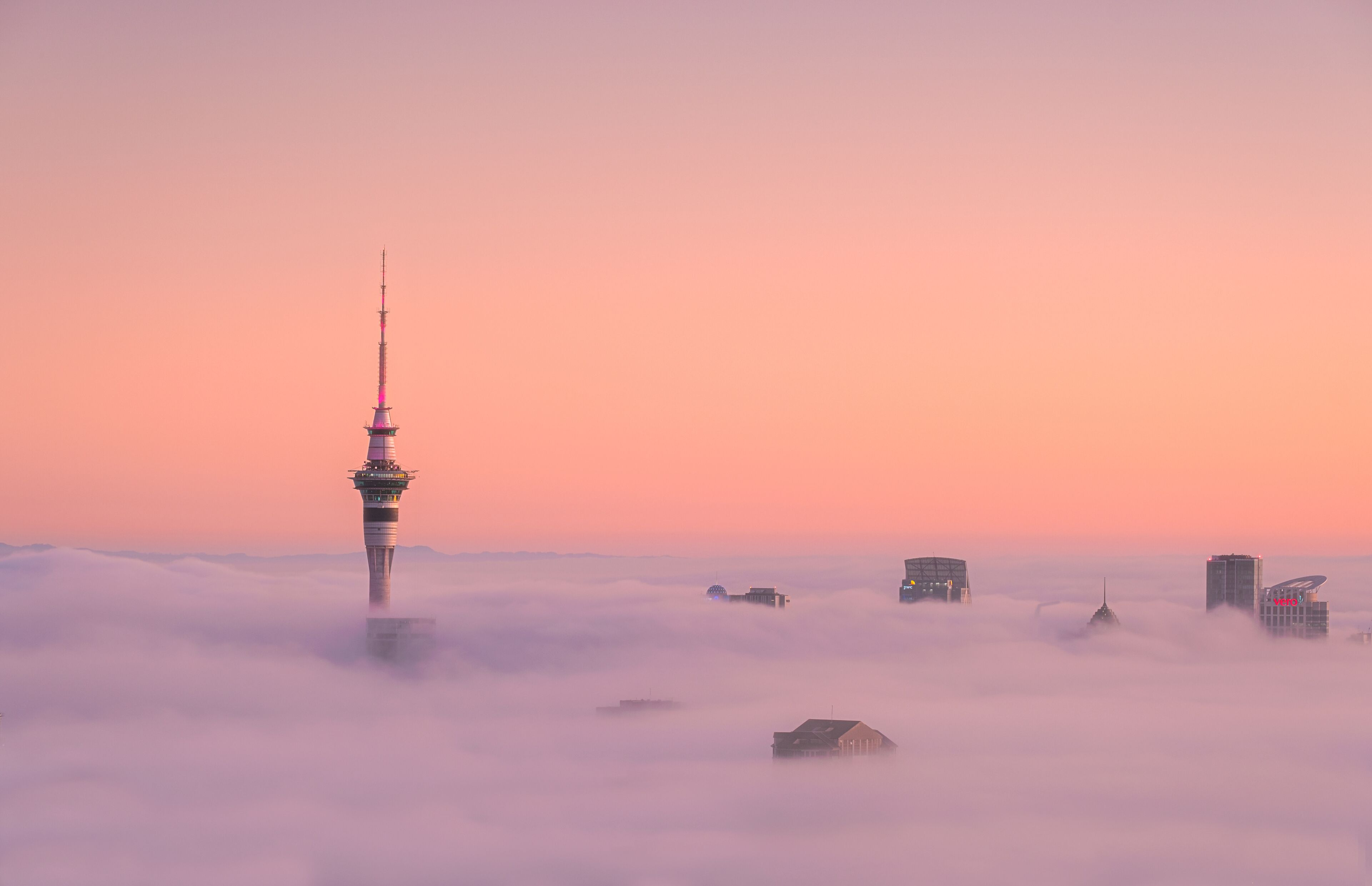 Auckland Fog