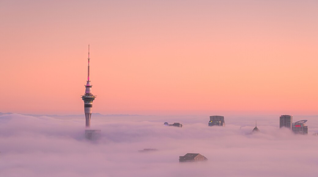 Auckland Fog