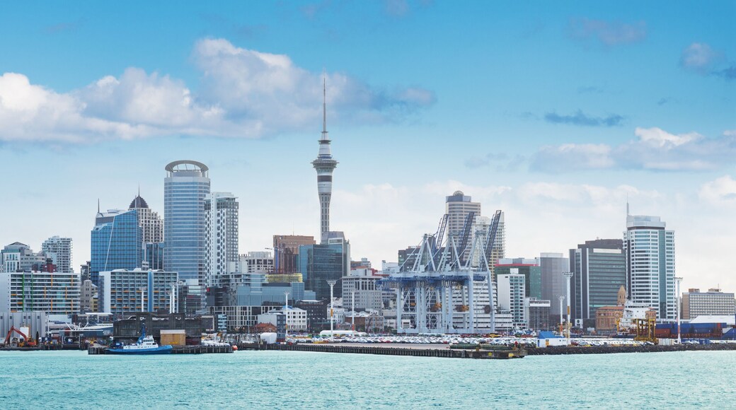 Auckland view at the noon