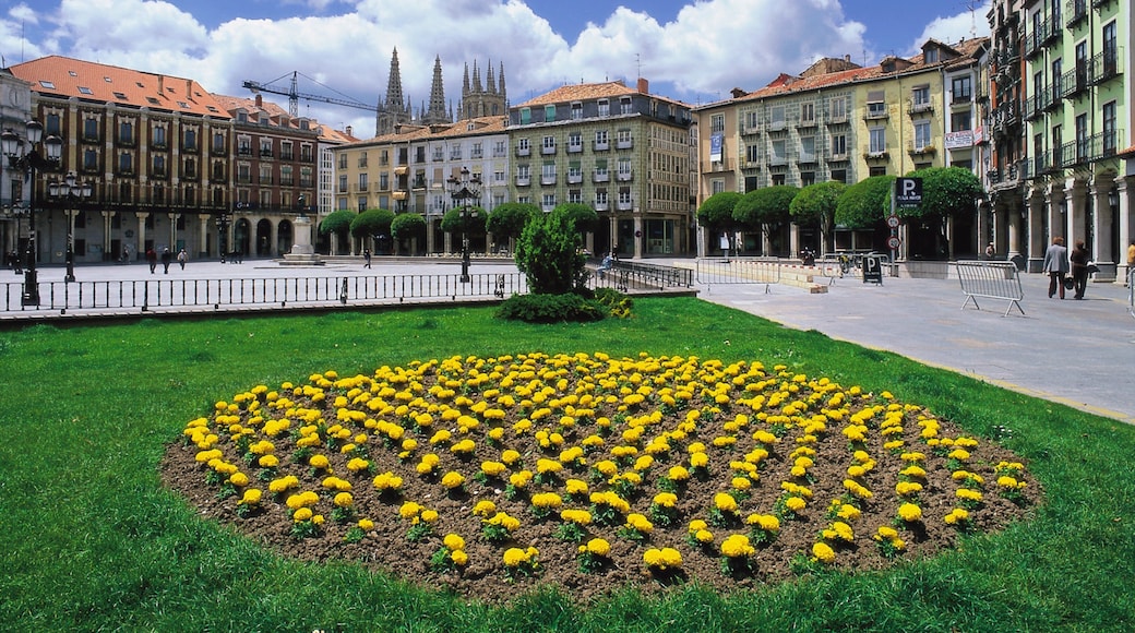 Province of Burgos featuring a park