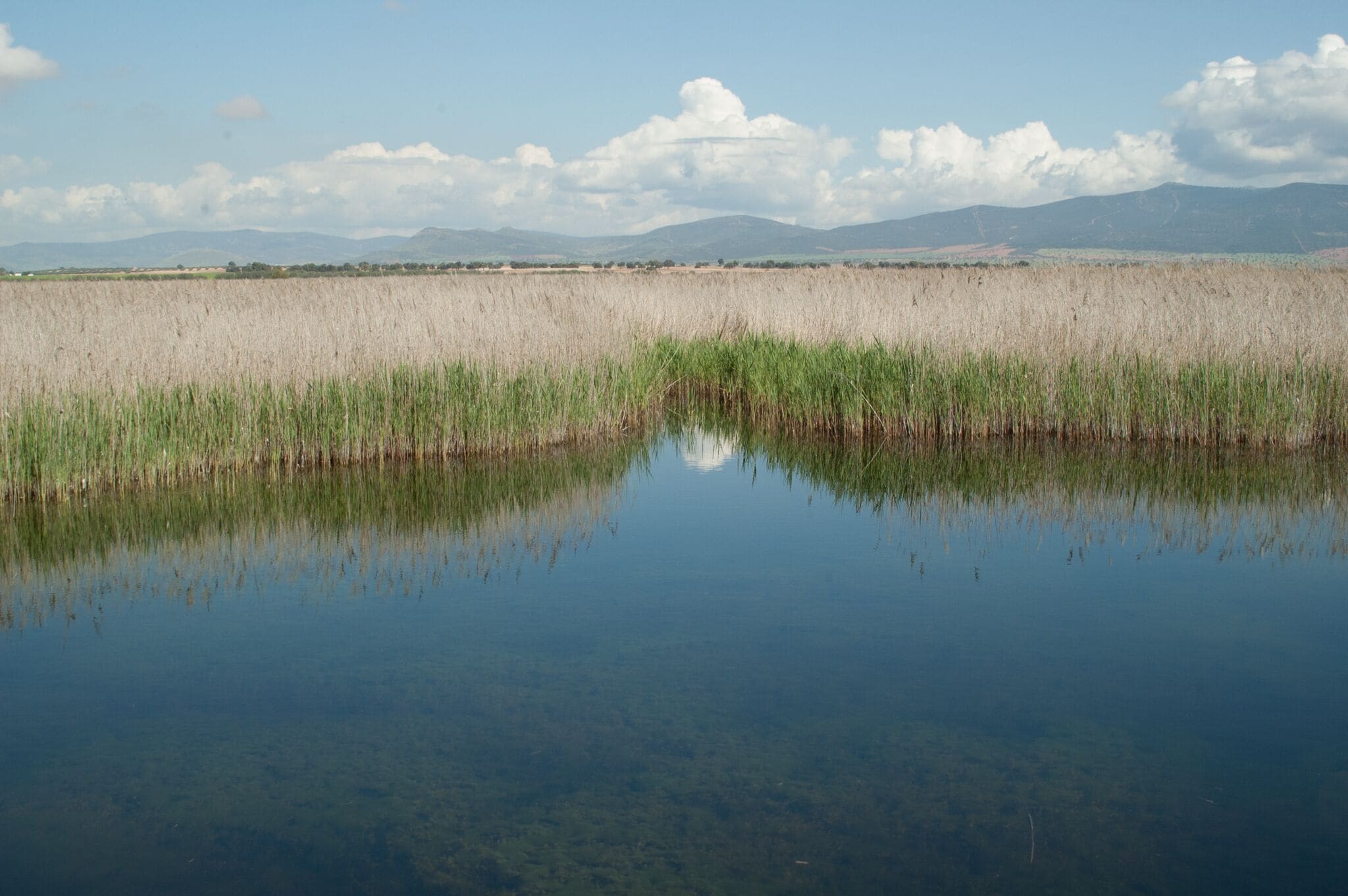 A calm lake with clear reflections, surrounded by tall grasses and distant mountains under a partly cloudy sky.