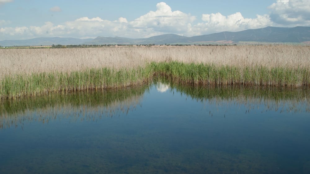 A calm lake with clear reflections, surrounded by tall grasses and distant mountains under a partly cloudy sky.