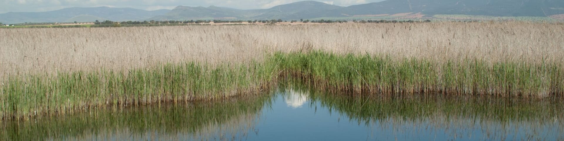 A calm lake with clear reflections, surrounded by tall grasses and distant mountains under a partly cloudy sky.