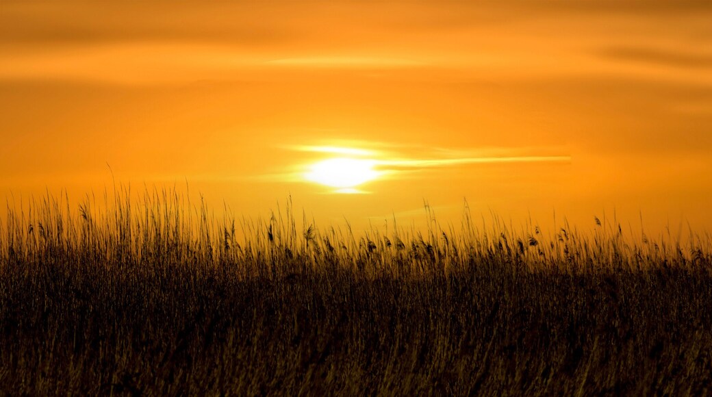 Sunset in the tables of daimiel of Ciudad real