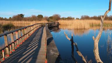 This is a photography of a Site of Community Importance in Spain with the ID: