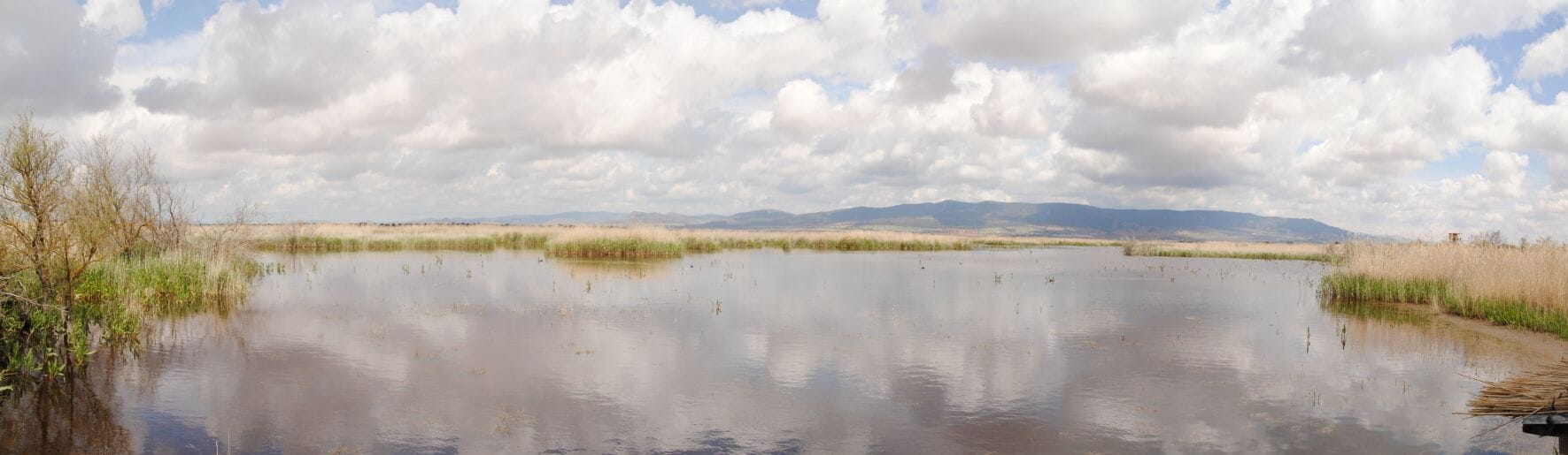 A calm lake with reflections of the sky and surrounding vegetation.
