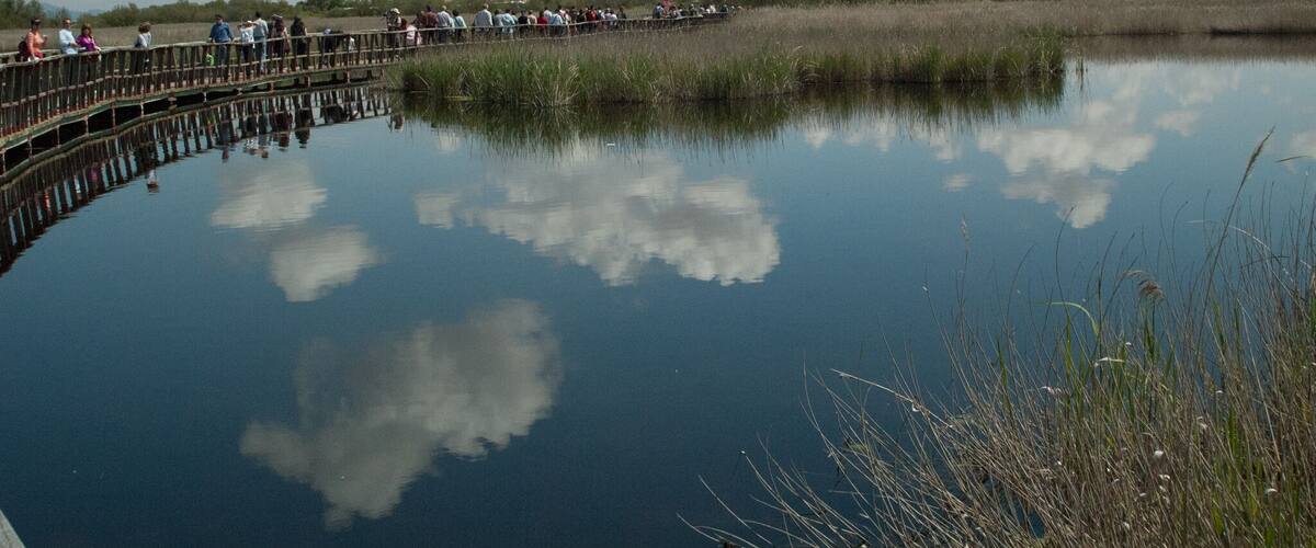 This is a photography of a Site of Community Importance in Spain with the ID: