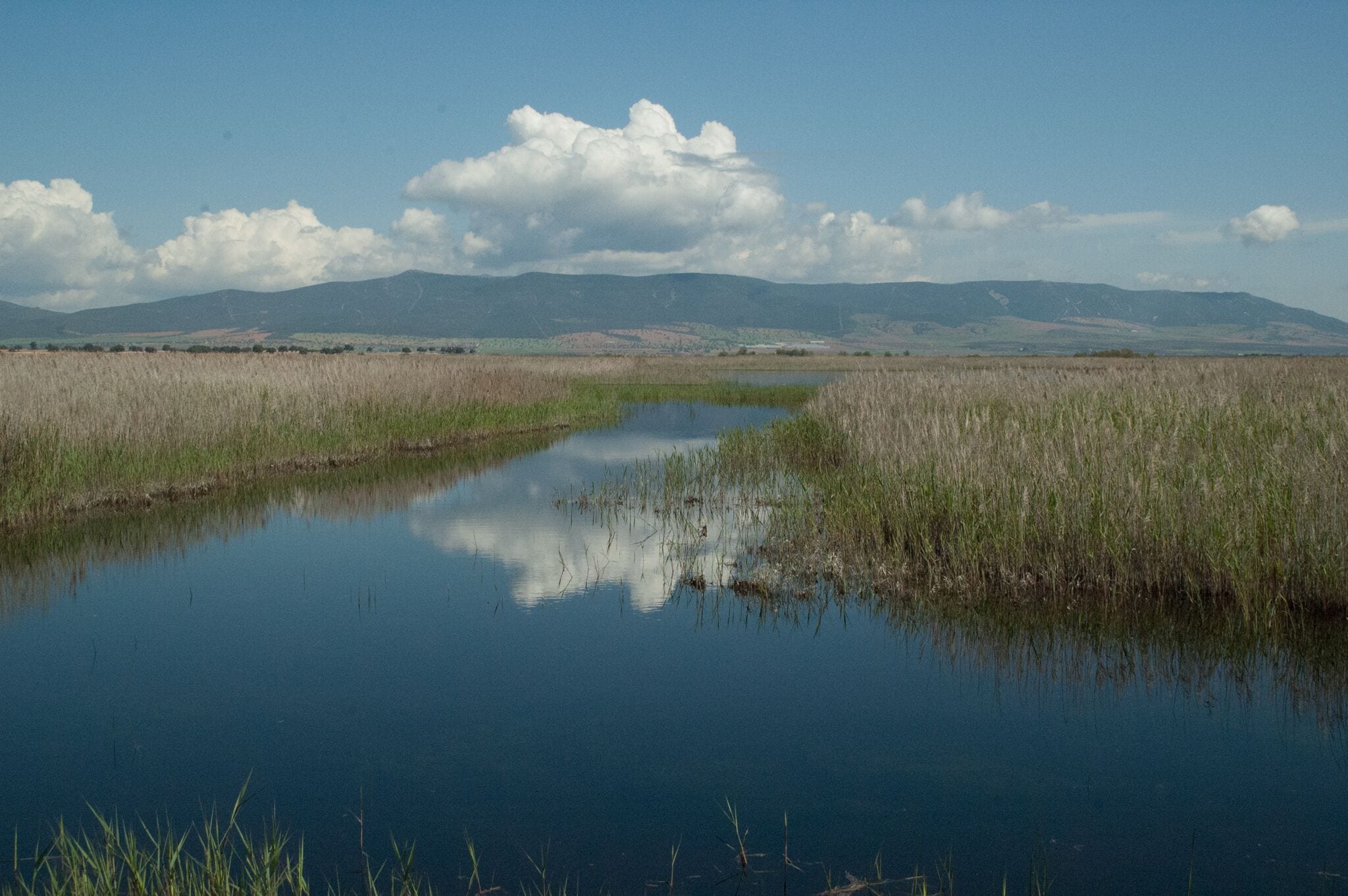 A calm river reflecting the sky and surrounding reeds, with distant mountains under a clear sky.