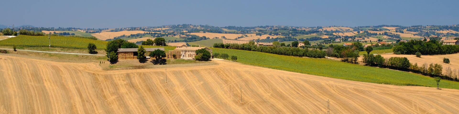 Summer landscape in Marches (Italy) near Ostra