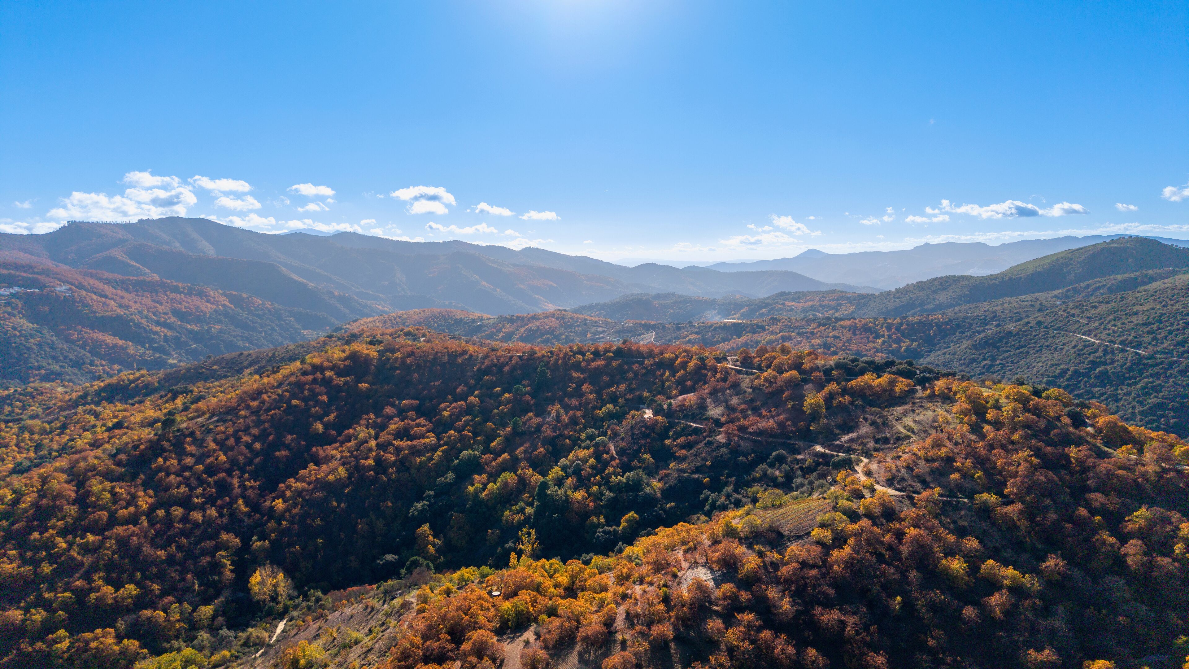 Los Angeles de San Rafael