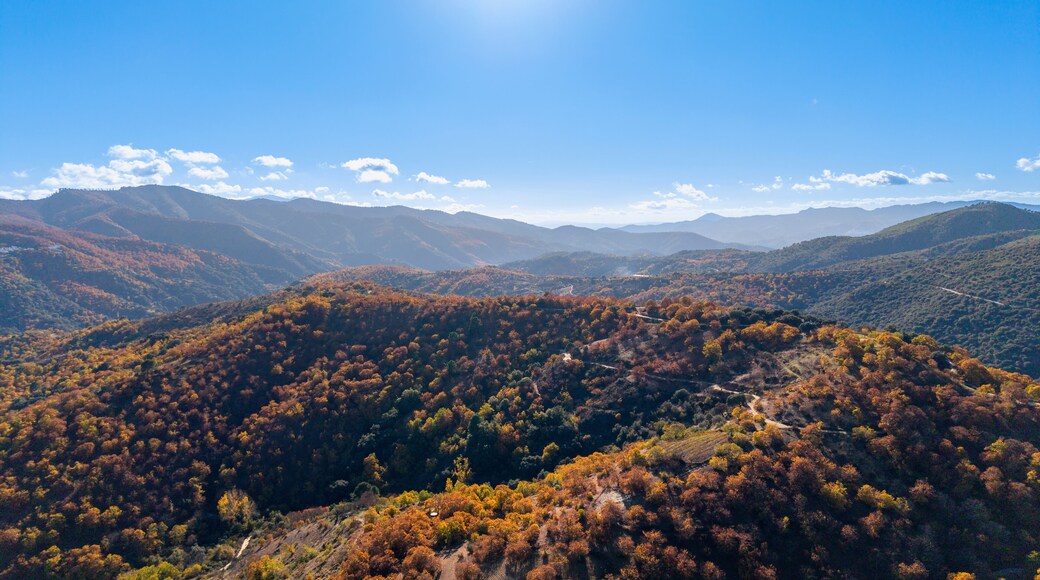 Los Angeles de San Rafael