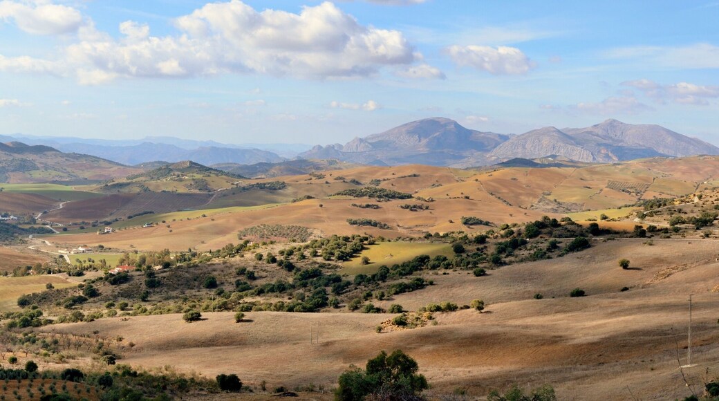 Los Angeles de San Rafael
