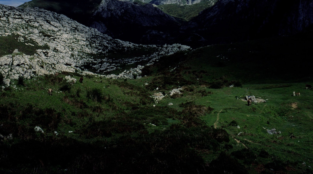 Parque Nacional dos Picos de Europa