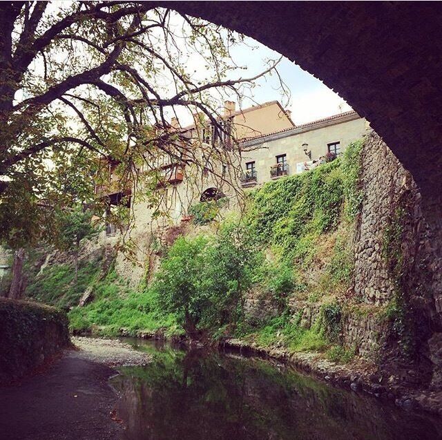 A stroll by the river, the cooler place in the summer