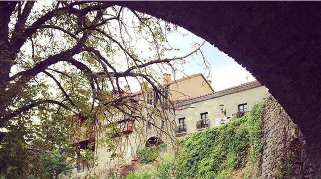 A stroll by the river, the cooler place in the summer