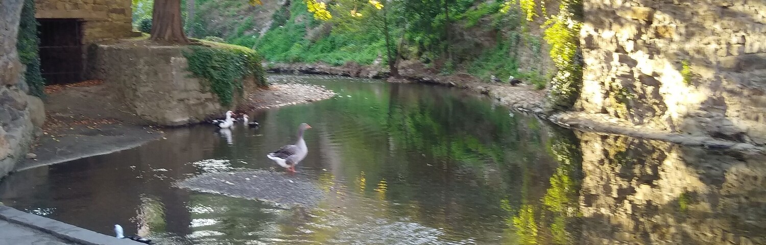 Un puente de piedra sobre un río tranquilo, rodeado de árboles y follaje.