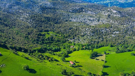 Ramales de la Victoria