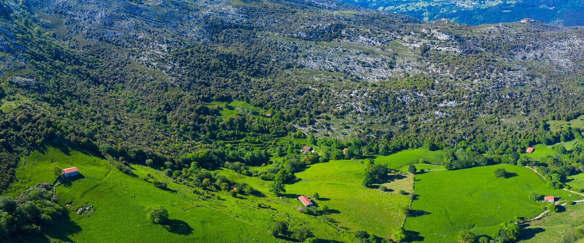 A lush green valley with scattered houses and dense forested areas.