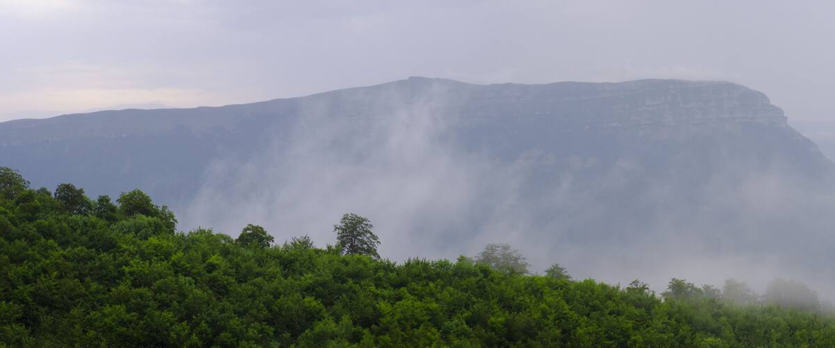 A mountain range with a prominent peak, surrounded by dense green forest.