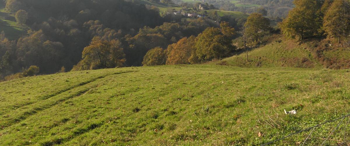 A green valley with rolling hills and scattered trees.
