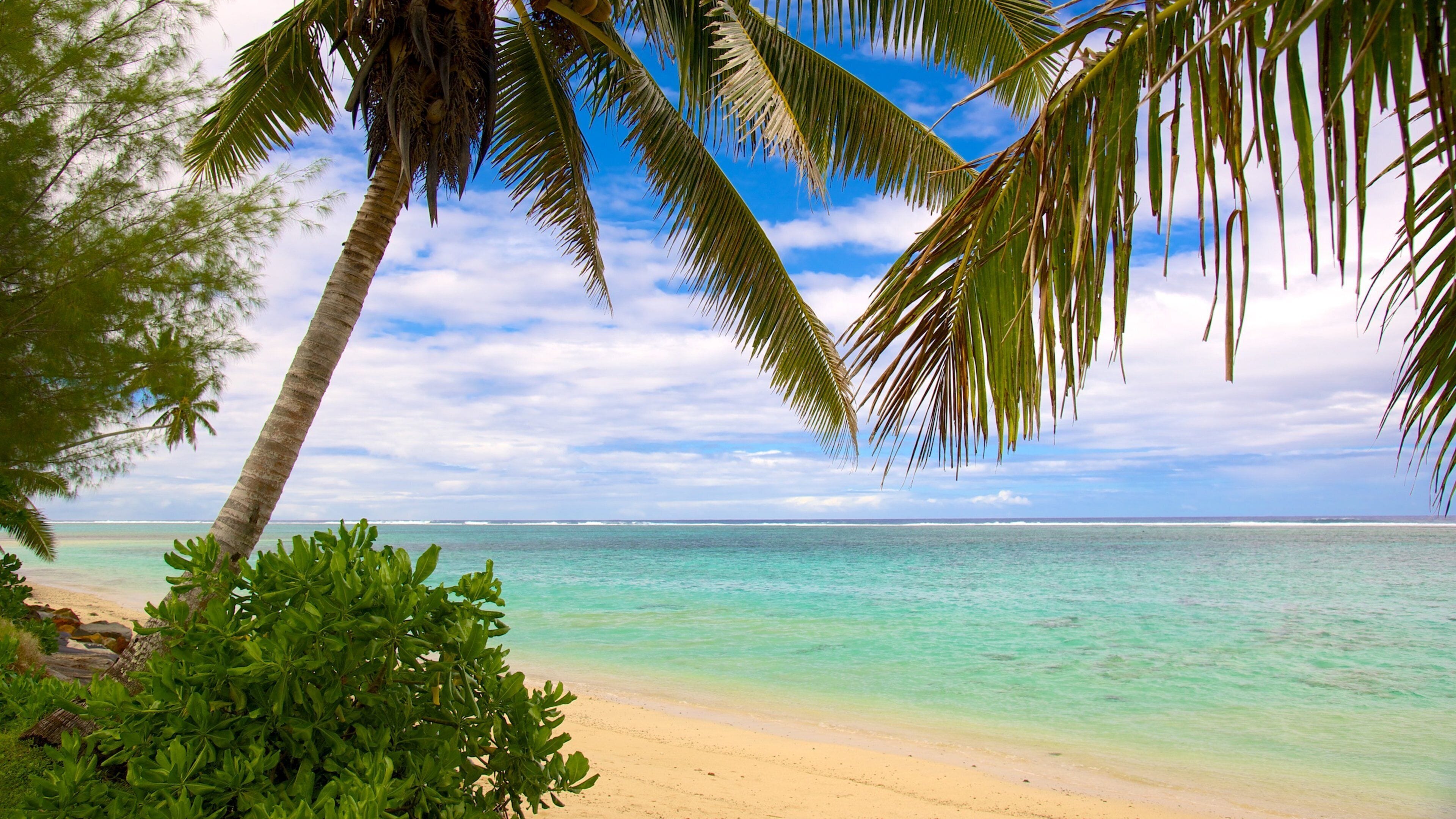 Rarotonga mit einem Strand und tropische Szenerien