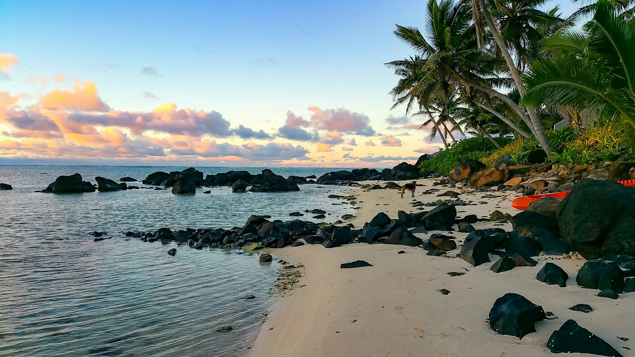Rarotonga beach dog on the lagoon in front of Te Manava Luxury Villas


#beachbound 