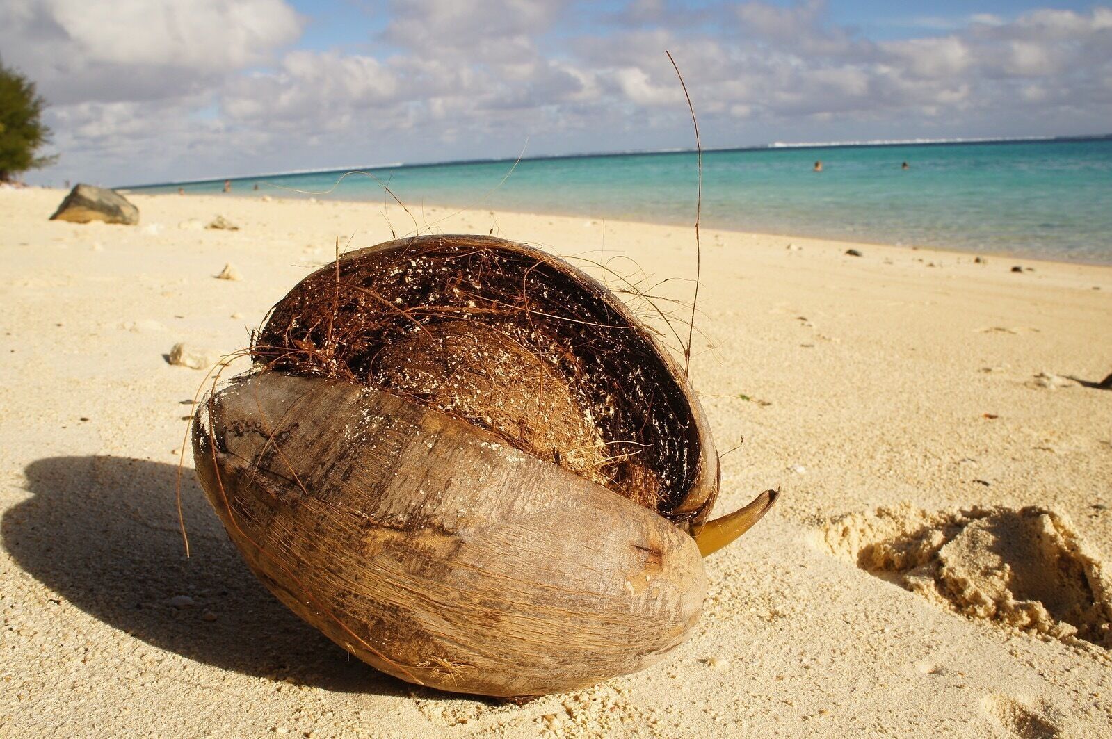 #Springfun Raratonga I think the image says it all 