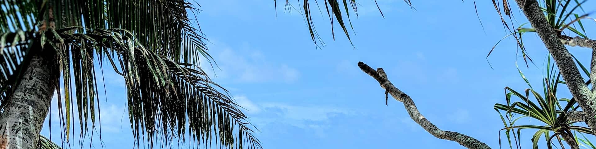 How can you not enjoy coming back to this view after an all day island #adventure