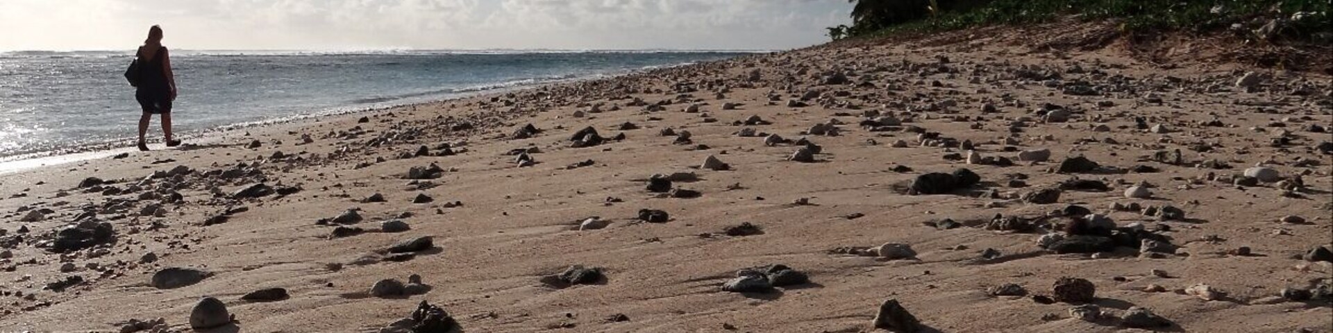 Uncrowded beaches that go on for miles and offer relaxing walks and beachcombing opportunities.
