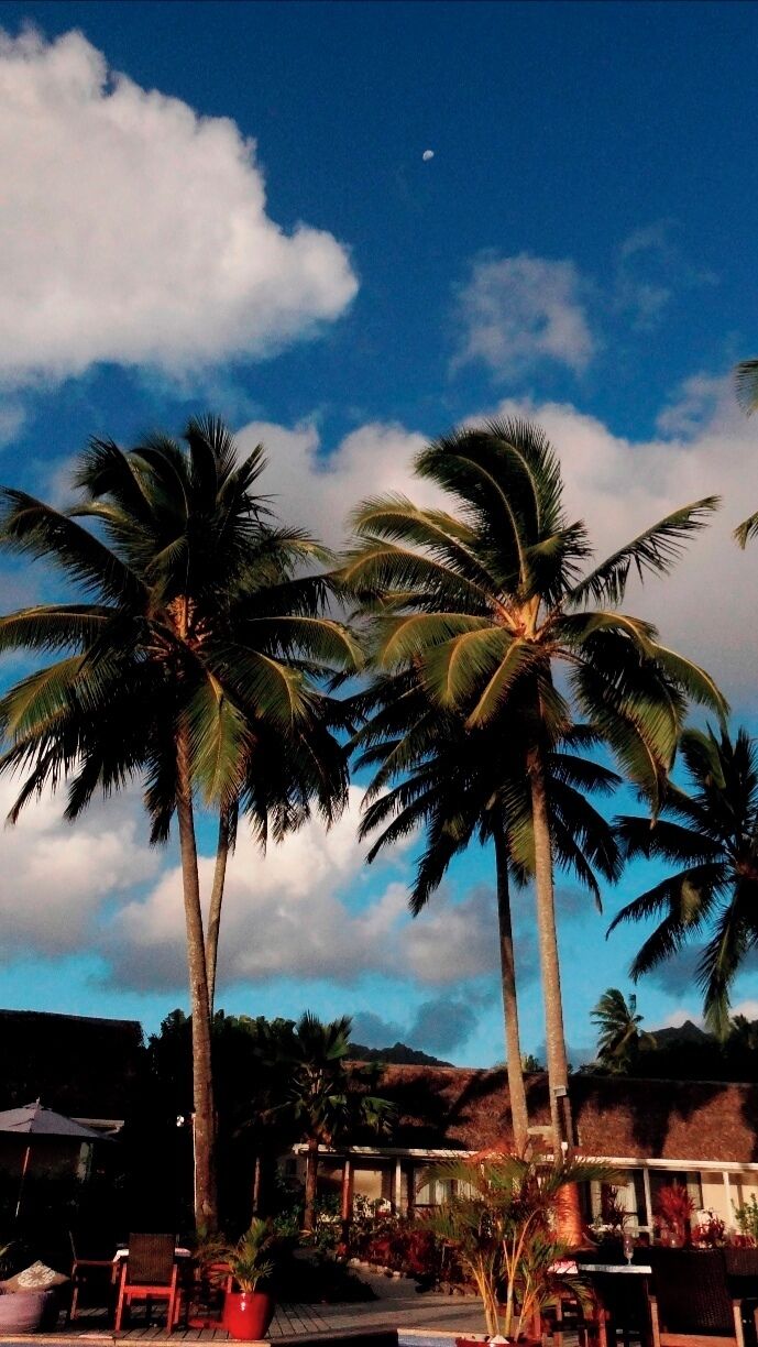The resort is made up of 24 bungalows with white sand walking paths throughout the resort. Swaying coconut palms and hibiscus flowers decorate the grounds too.