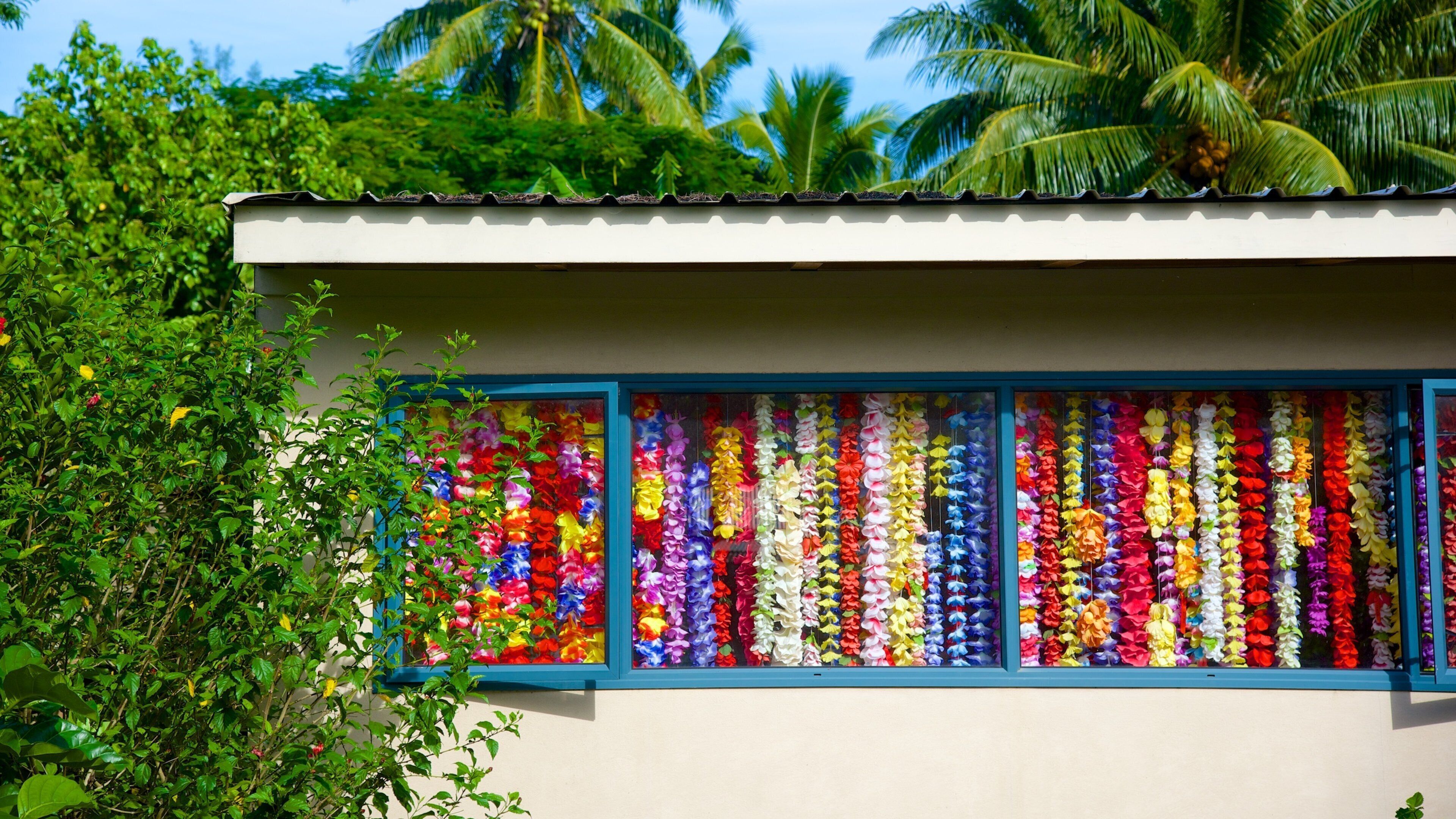 Arorangi das einen tropische Szenerien